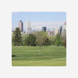 Albuquerque Parking Credit - $1000